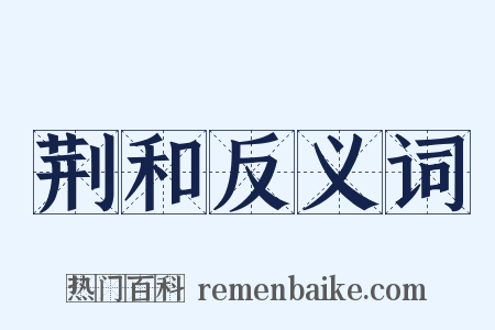 荆和反义词是什么意思的图片